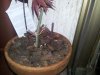 20130408_191812.jpg 20130408_191812.jpg