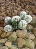 20130410_180619.jpg