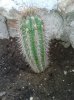 20130410_180515.jpg
