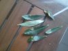 2013-04-10 19.59.55.jpg