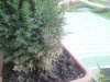 2013-04-10 20.00.36.jpg