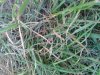 20130416_8.jpg