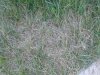 20130415_5.jpg