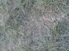 20130415_3.jpg