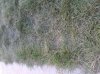 20130415_2.jpg