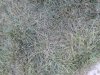 20130415_1.jpg