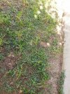 IMG_20210603_095610_1622905379402.jpg