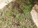 IMG_20210603_095544.jpg