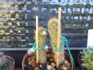 DSCN9097.JPG