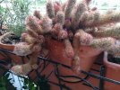IMG_20210606_181646_800x600.jpg
