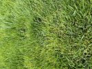 6531B908-0B4B-496A-A261-BA4ACB18FF38.jpeg