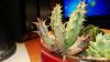 WP_20130418_018.jpg