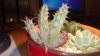 WP_20130418_021.jpg