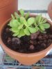 2013-04-18 19.12.51.jpg