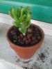 2013-04-18 19.12.39.jpg