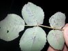 20130420_213943.jpg 20130420_213943.jpg