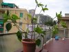 p1010009.jpg p1010009.jpg