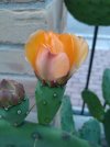 DSC_0121-min-min-min.JPG