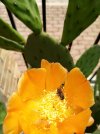 IMG_20210618_122020-min.jpg
