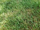 20210619_152312.jpg