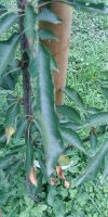 20210706_183547.jpg 20210706_183547.jpg