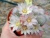 DSCN1223.jpg