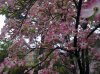 27042013097.jpg 27042013097.jpg
