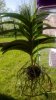 WP_20130424_007.jpg