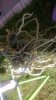 WP_20130424_009.jpg