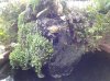 Foto0010.jpg