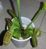 20130501_013211.jpg 20130501_013211.jpg