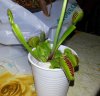 20130501_015026.jpg 20130501_015026.jpg