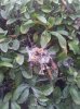 20130501_175927.jpg