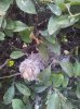 20130501_175936.jpg