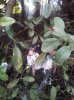 20130501_175946.jpg