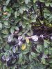20130501_175956.jpg