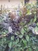 20130501_180016.jpg