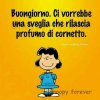 Buongiorno-da-Lucy-Van-Pelt.jpg