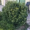 CBD574D8-0DAB-48D3-BFE1-38D9C0EF1AC4.jpeg