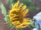 7BD2AE9D-417C-4EF0-A682-09BF6D5E75EF.jpeg