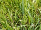 IMG_20210726_171237_800.jpg