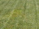 IMG_20210726_171257_800.jpg