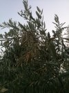 IMG_20210810_200529.jpg