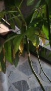 IMG_20210818_192936637.jpg