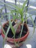 2013-05-06_09.40.45.jpg