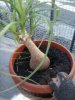 2013-05-06_09.41.01.jpg