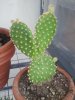 2013-05-06 17.53.19.jpg