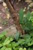IMG_2130.jpg IMG_2130.jpg