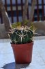 DSC_0089.jpg