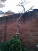 CAM02073.jpg